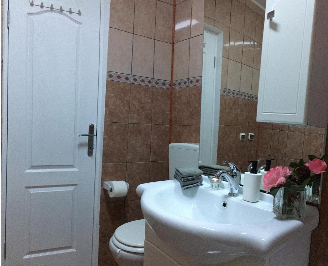 Daniela'S Apartaments Sighişoara Dış mekan fotoğraf