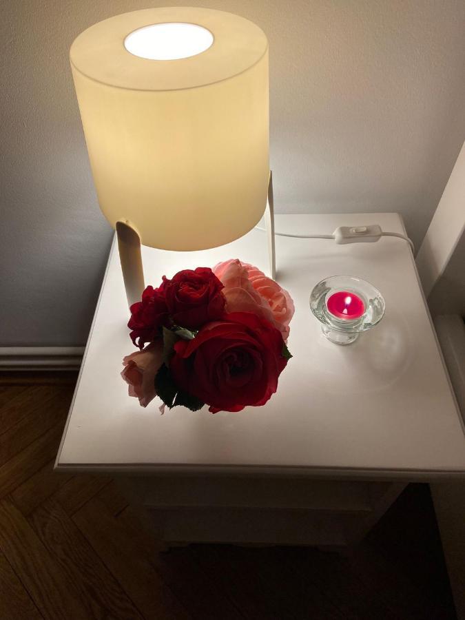 Daniela'S Apartaments Sighişoara Dış mekan fotoğraf