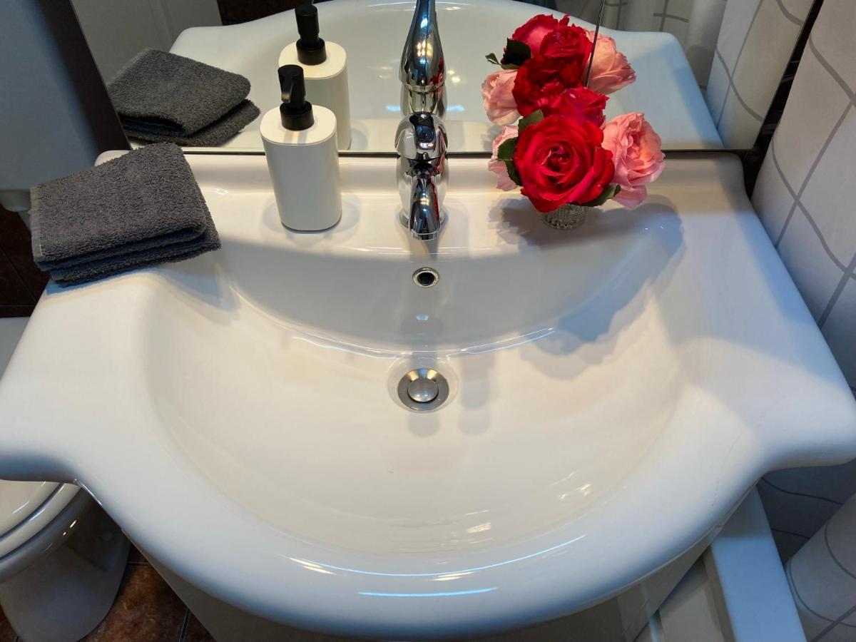 Daniela'S Apartaments Sighişoara Dış mekan fotoğraf