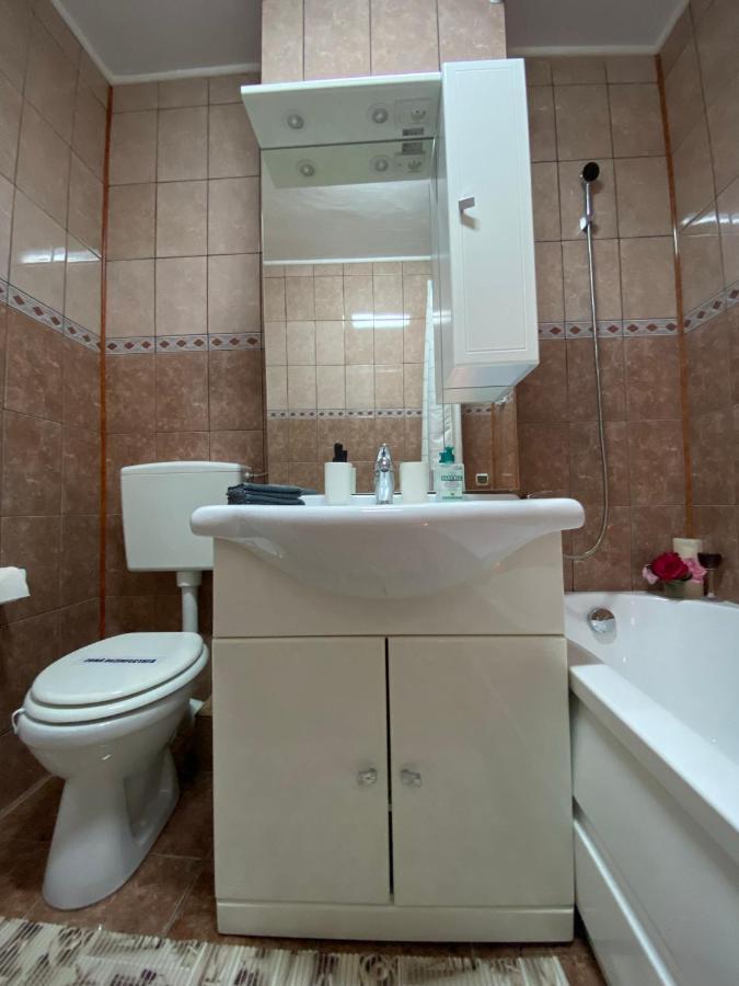 Daniela'S Apartaments Sighişoara Dış mekan fotoğraf